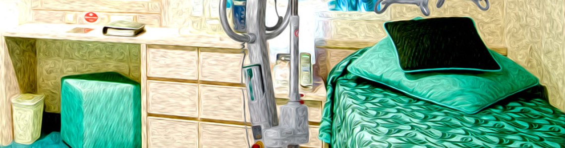 Cruise Ships with Hoists - No longer a dream Cruise Ships with Hoists - No longer a dream