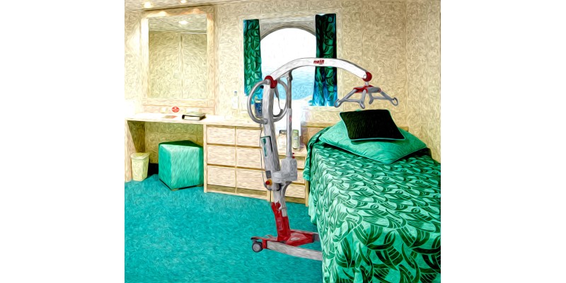 Cruise Ships with Hoists - No longer a dream Cruise Ships with Hoists - No longer a dream